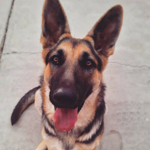 Meet your Posher, Susana